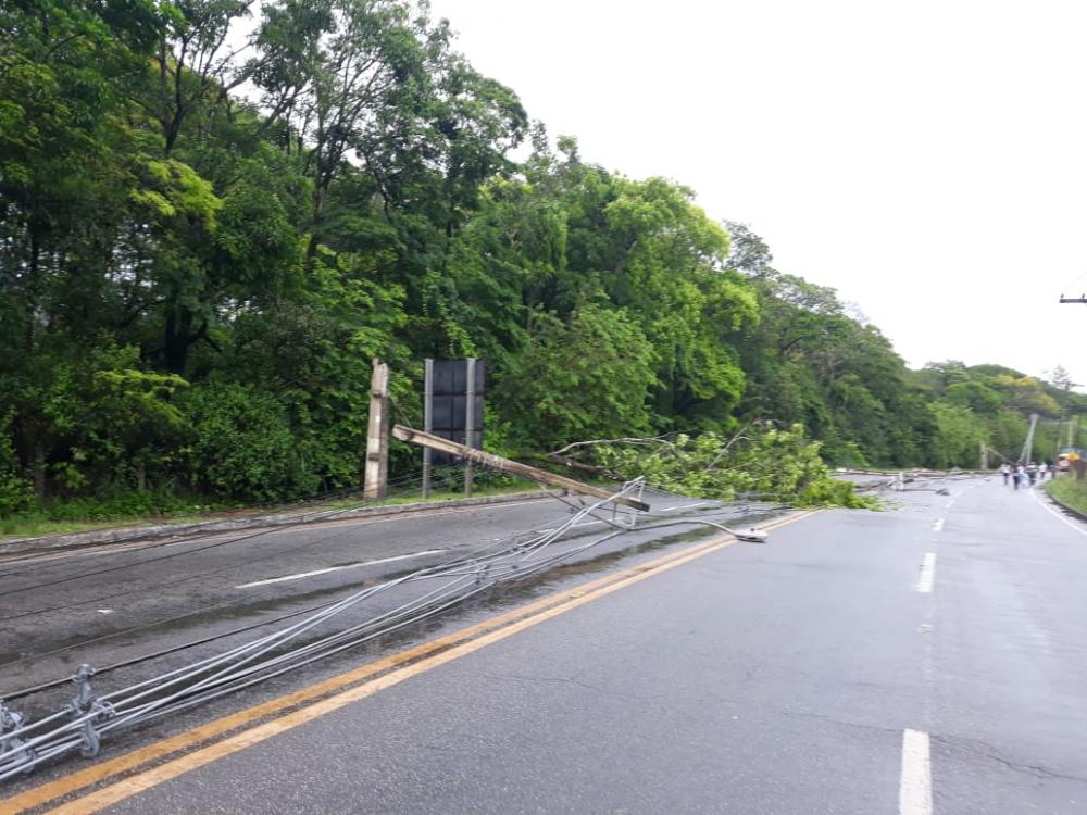 Após chuva forte postes e arvores deixam rodovia-458 parada em Ipatinga