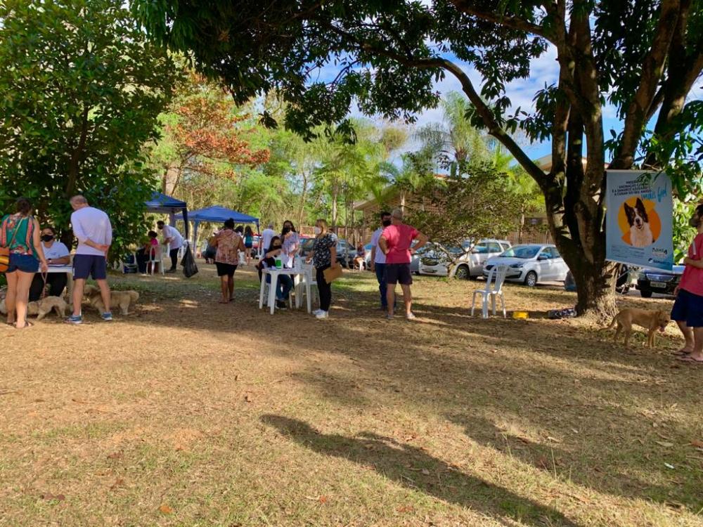 Ipatinga realiza vacinação de cães neste sábado