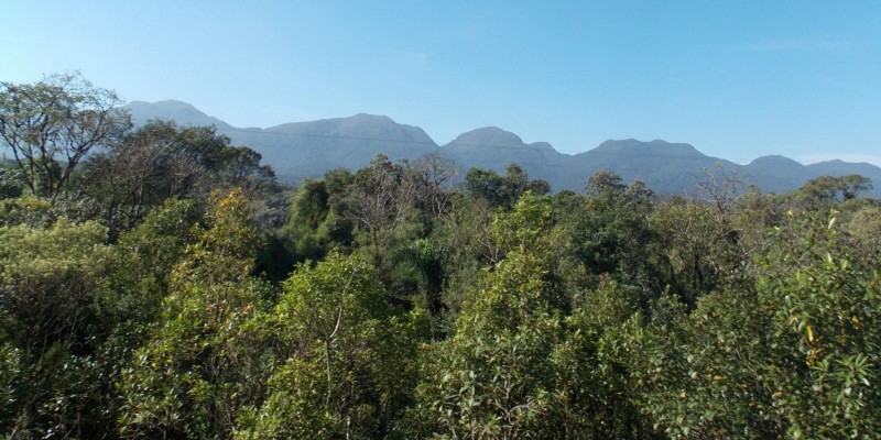 Operação Mata Atlântica em Pé abre quarta edição com foco desmatamento