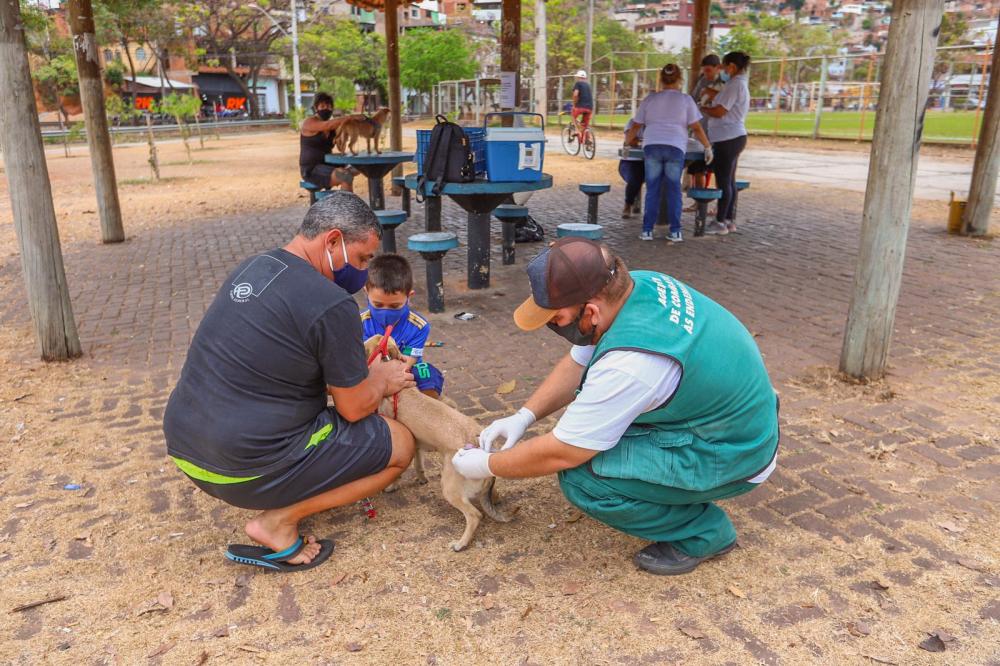 Zoonoses de Ipatinga oferece nova oportunidade para vacinação contra a raiva animal neste fim de semana