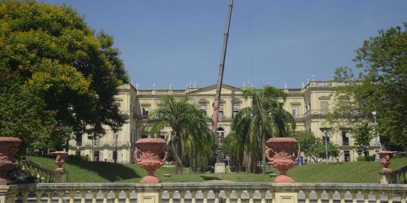 Museu Nacional recebe doação de moluscos do Museu de Coimbra