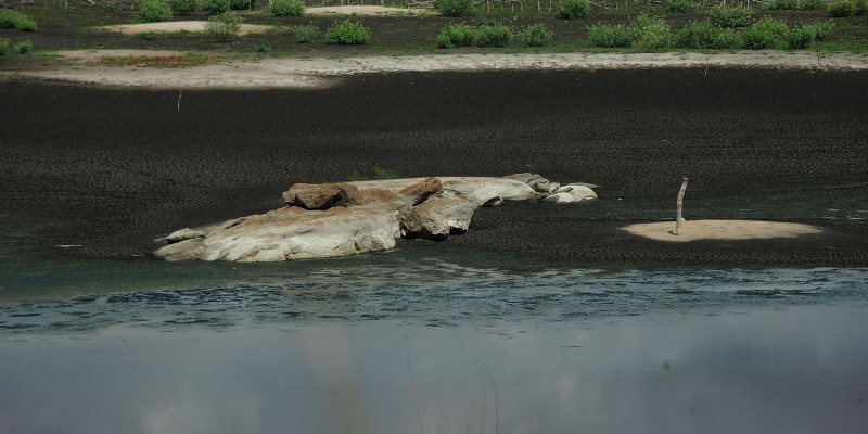 Estiagem no Sul do Brasil ameaça agricultores