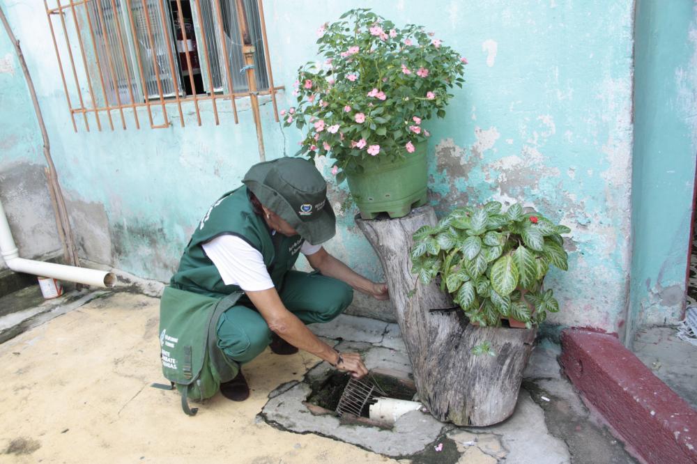 LIRAa de Ipatinga aponta alto índice de infestação por Aedes aegypti 