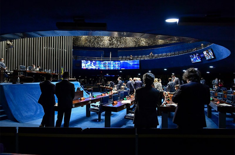 Perfil dos candidatos ao Senado: porcentagem de mulheres aumenta, mas homens seguem maioria