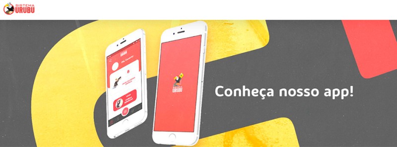 Projeto apoiado pela Fapemig monitora acidentes com animais selvagens nas estradas brasileiras