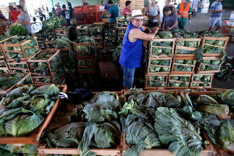 Leilão de privatização da CeasaMinas ocorrerá em 22 de dezembro