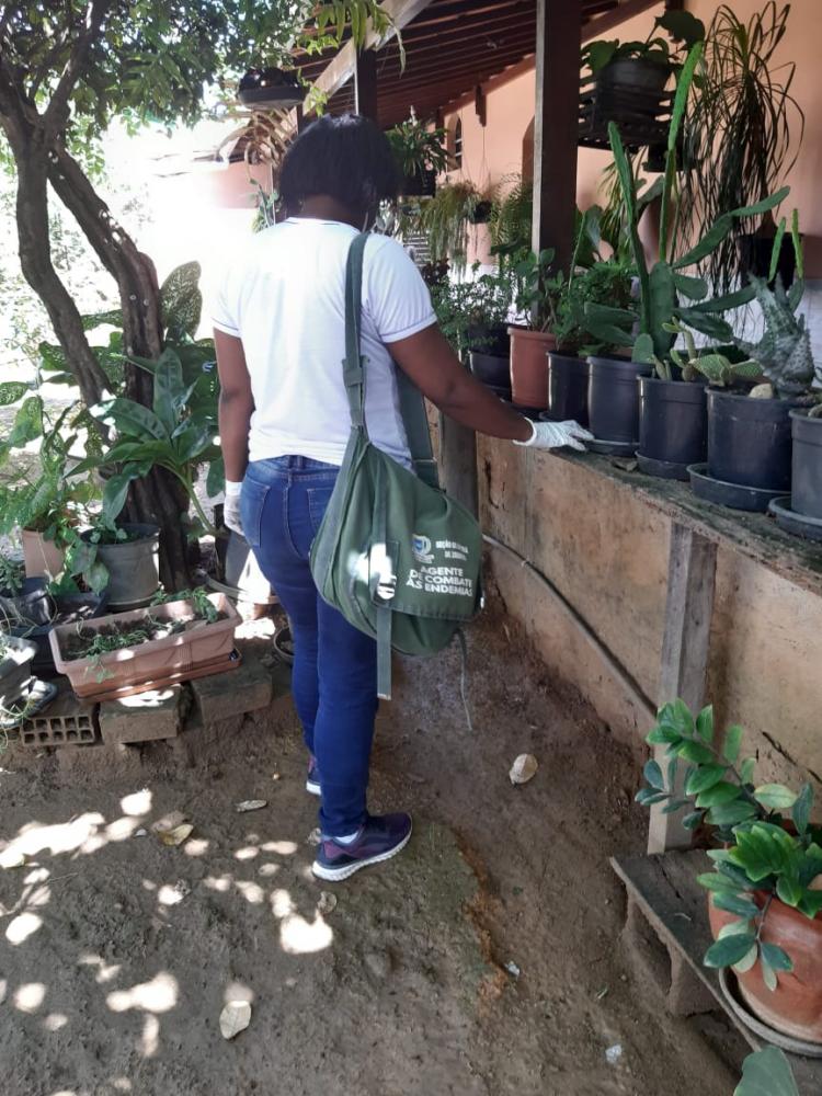 Mutirão contra a dengue em Ipatinga já vistoriou mais de 24 mil imóveis