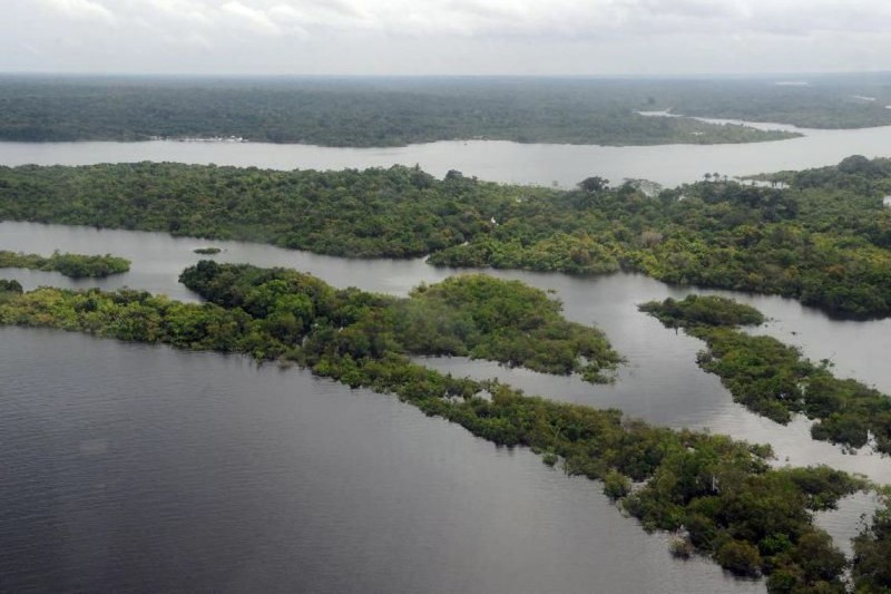 Preservação da Amazônia é prioridade do governo eleito na COP27