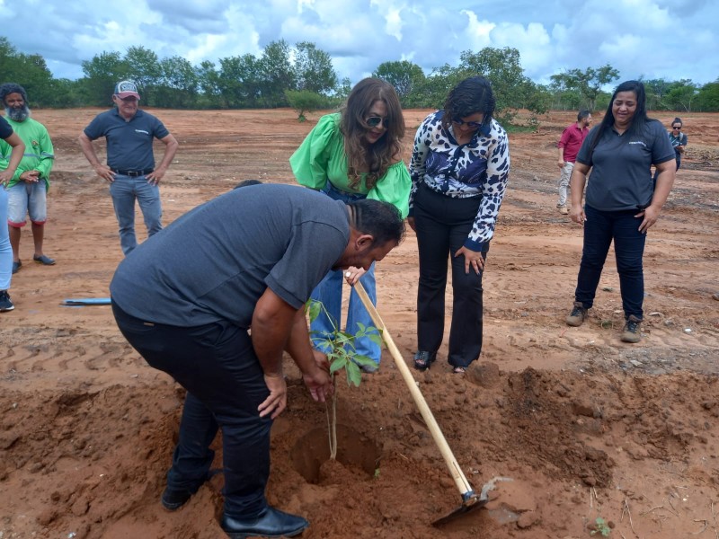 Semad apoia consórcio do Norte de MG em plantio de 30 mil mudas e inauguração de Usina de Triagem de Resíduos Sólidos