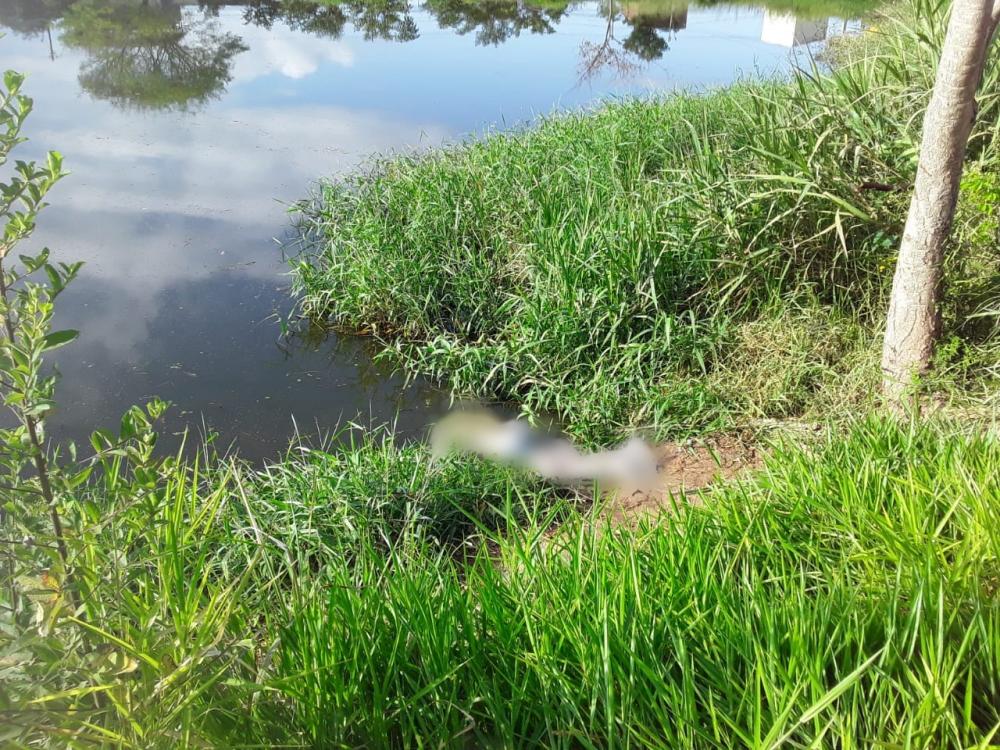 Corpo de homem é encontrado boiando em lagoa do Bairro Castanheiras, em Governador Valadares 